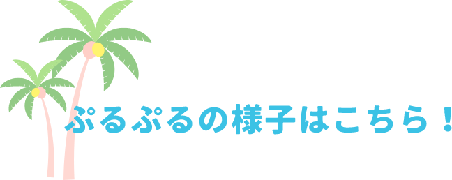 ぷるぷるの様子はこちら